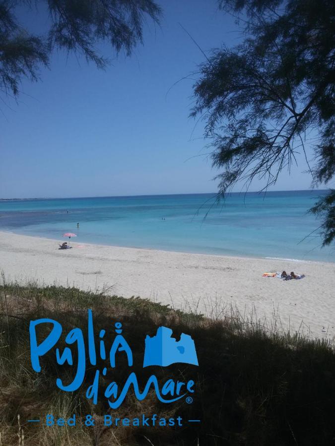 ליצאנו B&B Puglia D'Amare מראה חיצוני תמונה